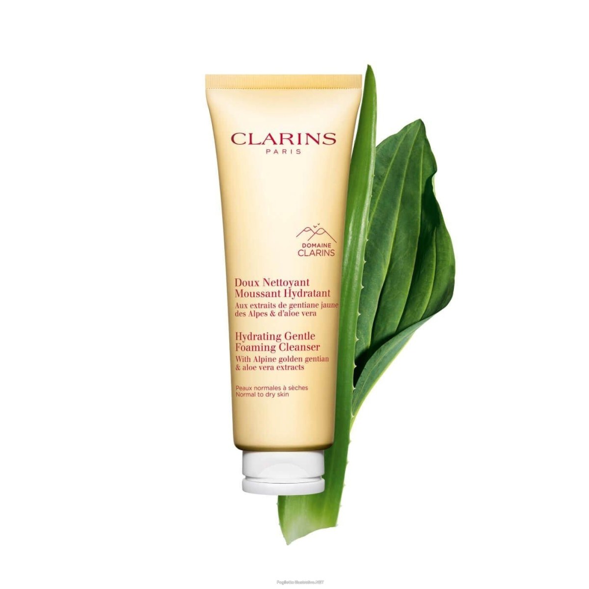 Clarins Cleansing Hydrating Gentle Foaming Cleanser 125 Ml