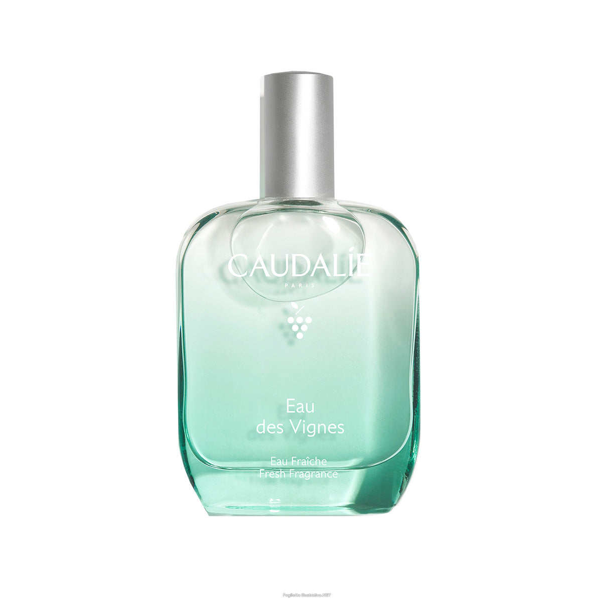Caudalie Eau Des Vignes Fresh Fragrance Women's Perfume 50ml