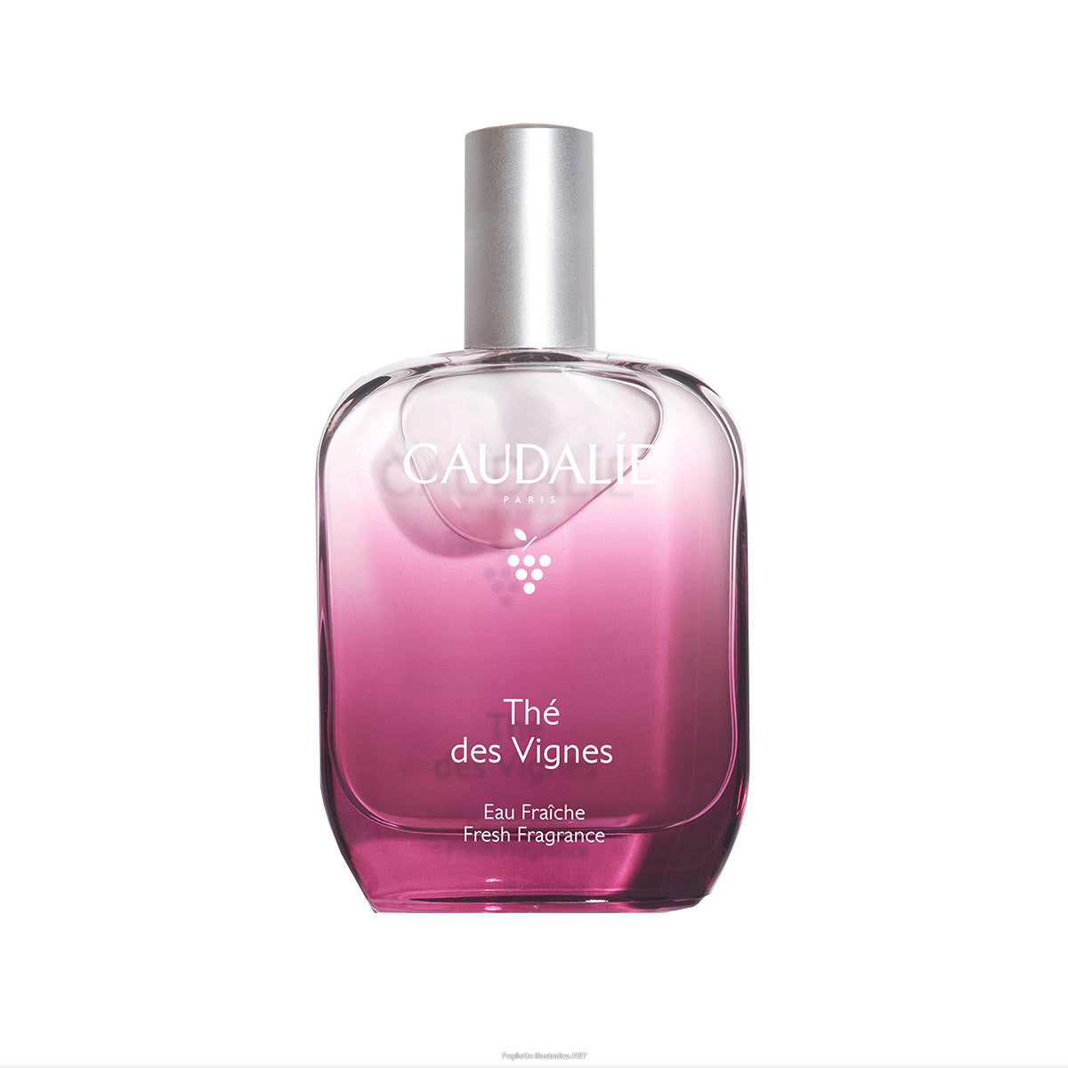 Caudalie Thé Des Vignes Fresh Fragrance 50ml