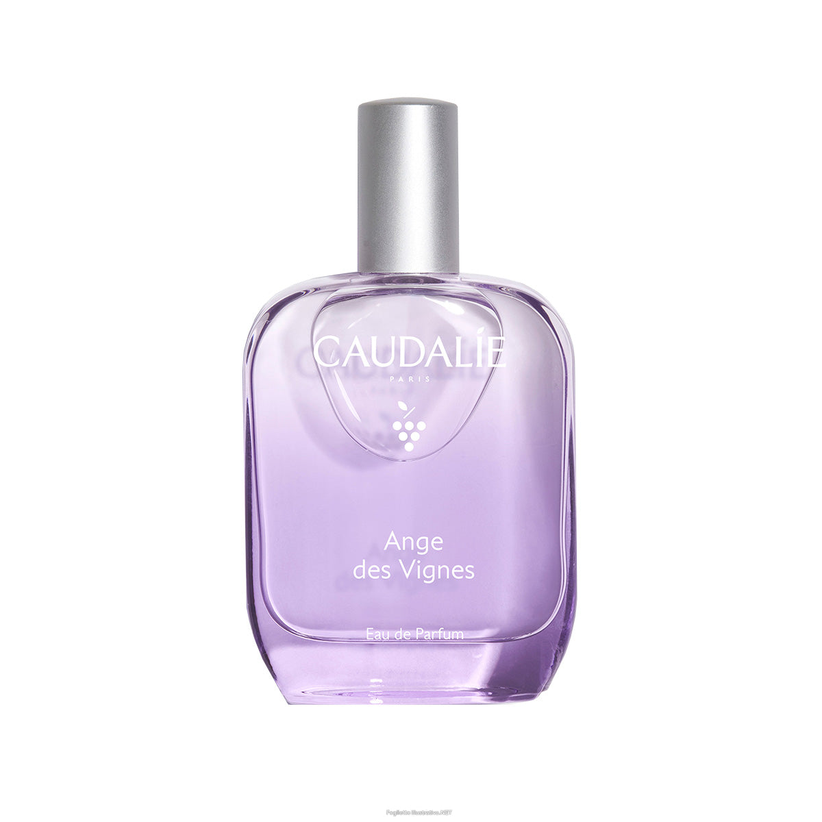 Caudalie Eau Des Vignes Fresh Fragrance Women's Perfume 50ml